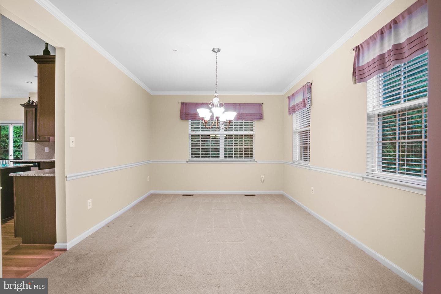 17205 Madrillon Way photo 15