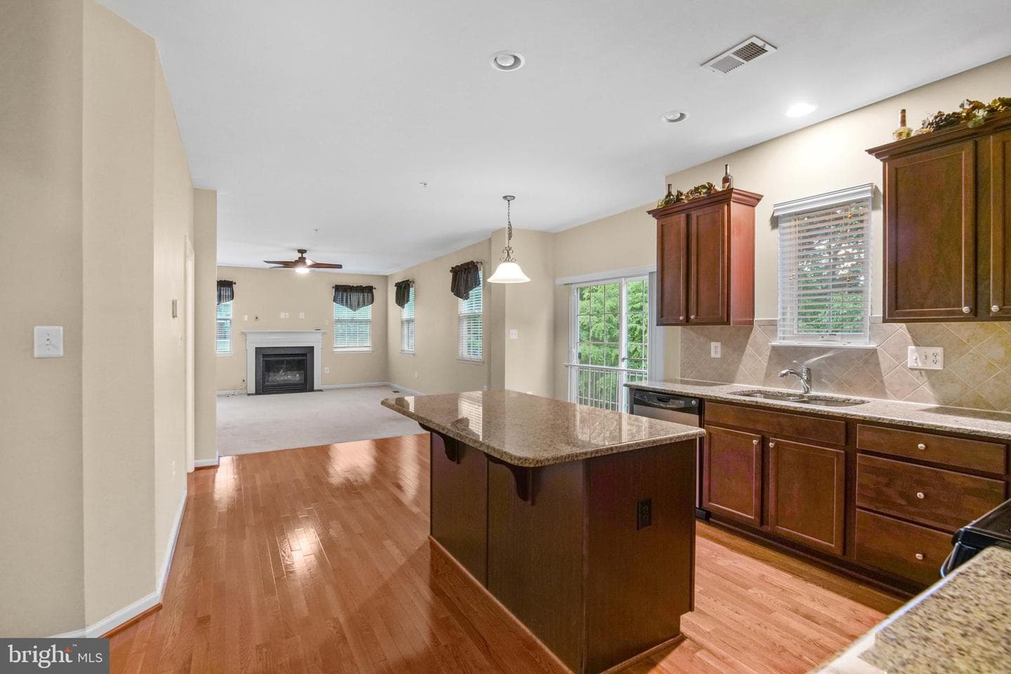 17205 Madrillon Way photo 5