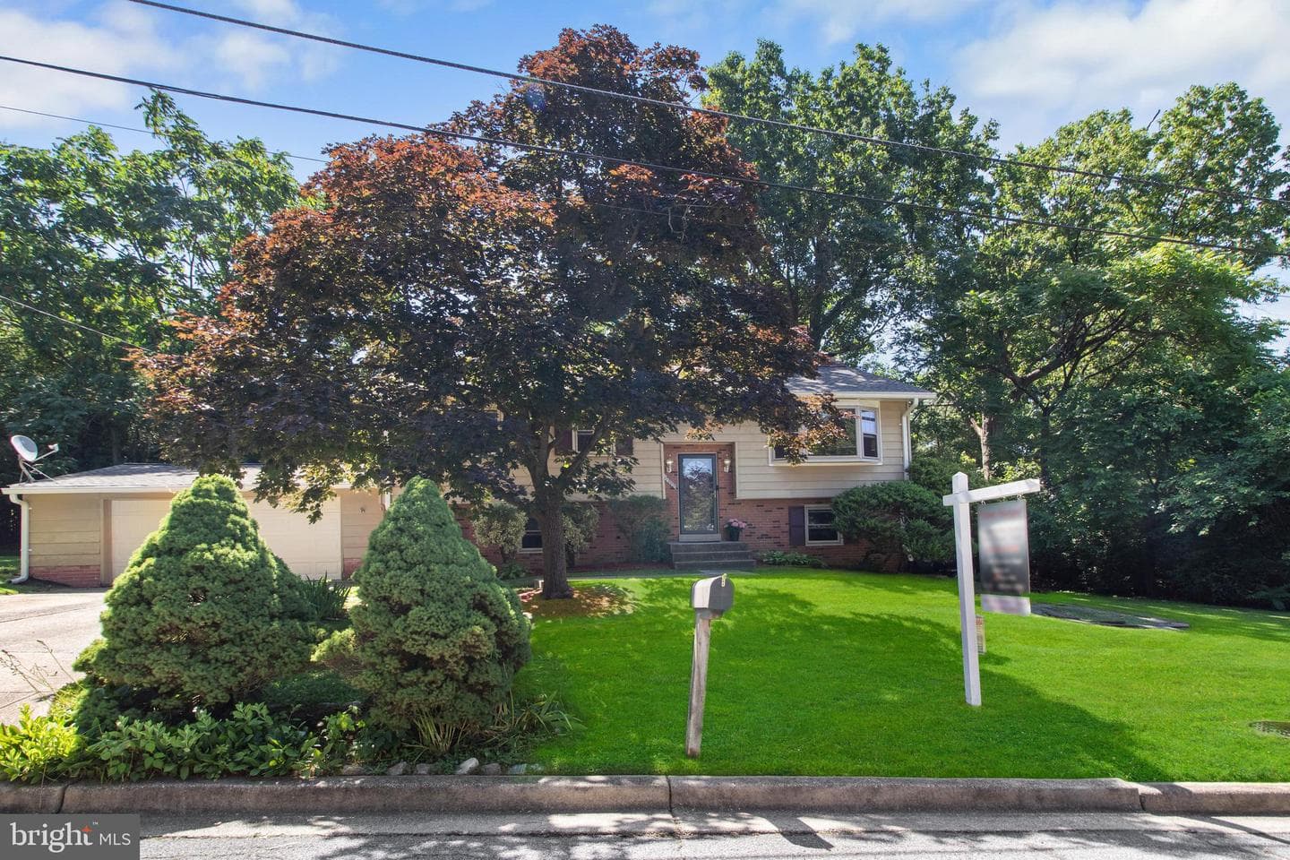 11707 Battersea Drive photo 36