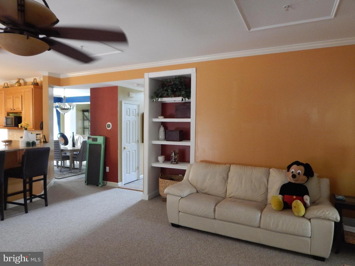 9203 Sumner Grove Drive photo 32