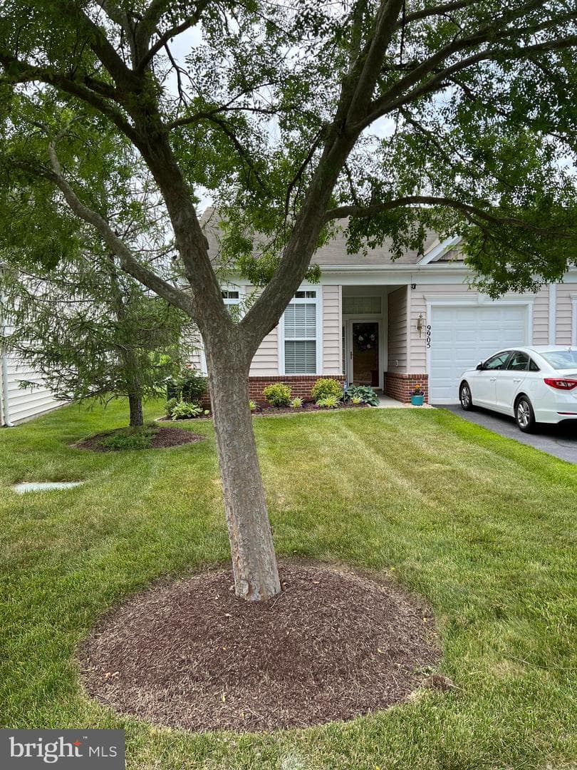 9905 Goldenwood Court photo 2