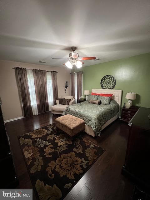 13210 Hedge Row Court photo 23