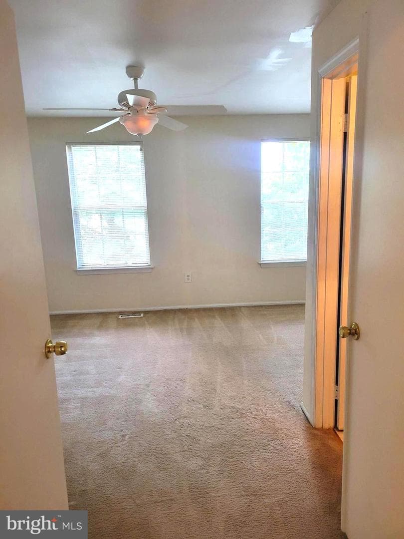 15758 Piller photo 11