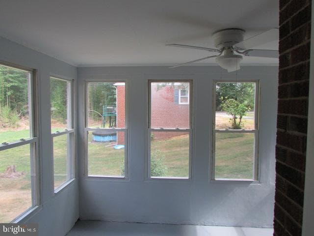 9110 Pine View Lane photo 9