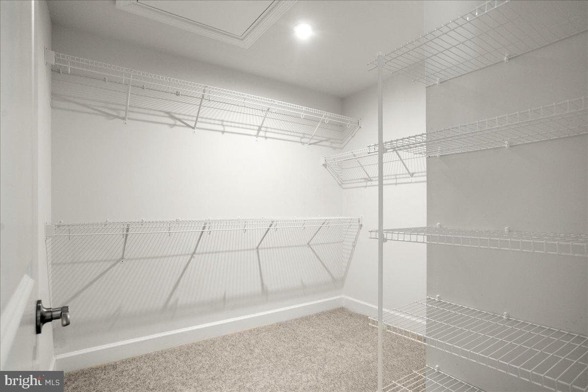 3797 Polo Place photo 21