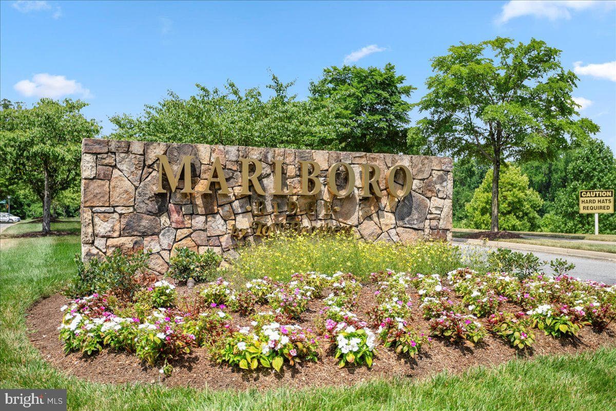 3797 Polo Place photo 37