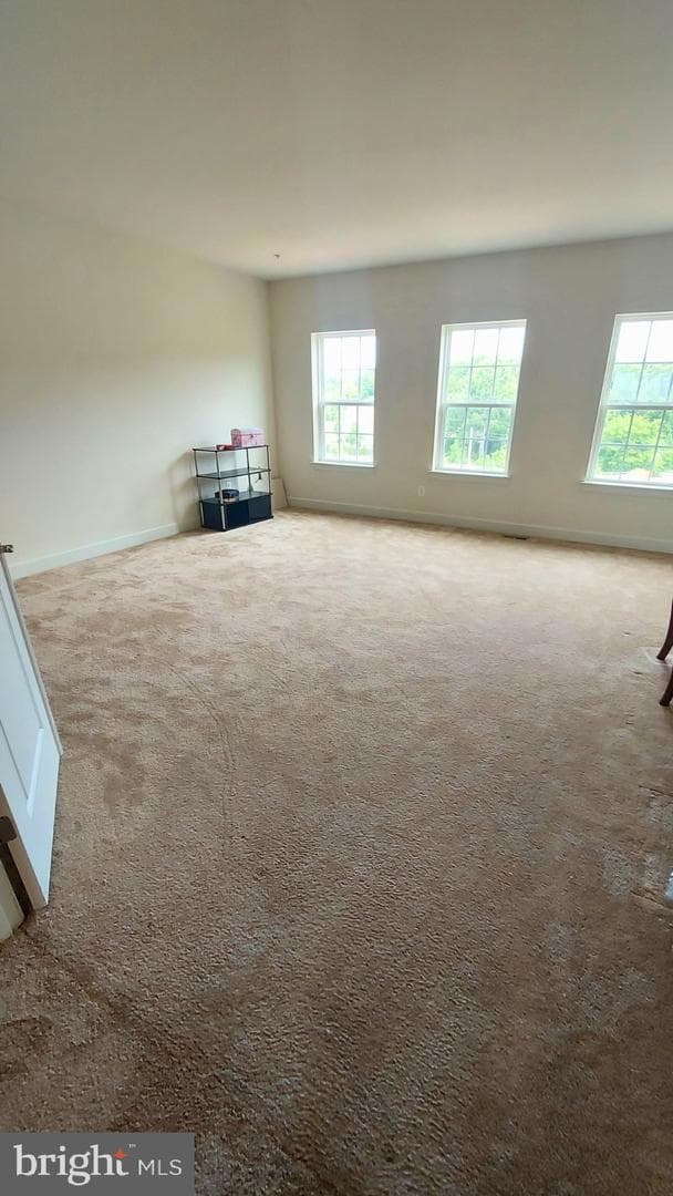 12714 Coventry Manor Way photo 29