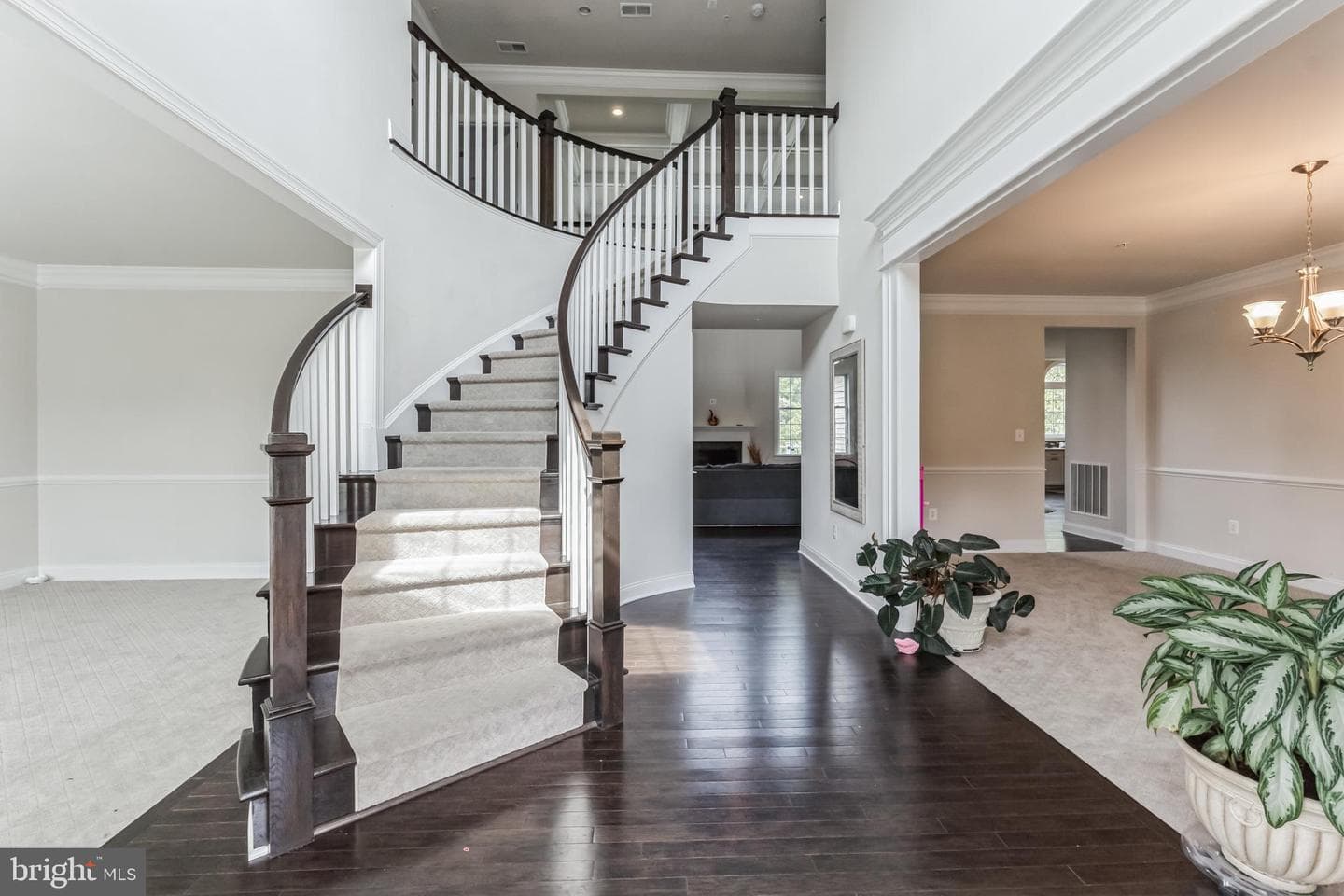 4907 Bridle Ridge Road photo 2