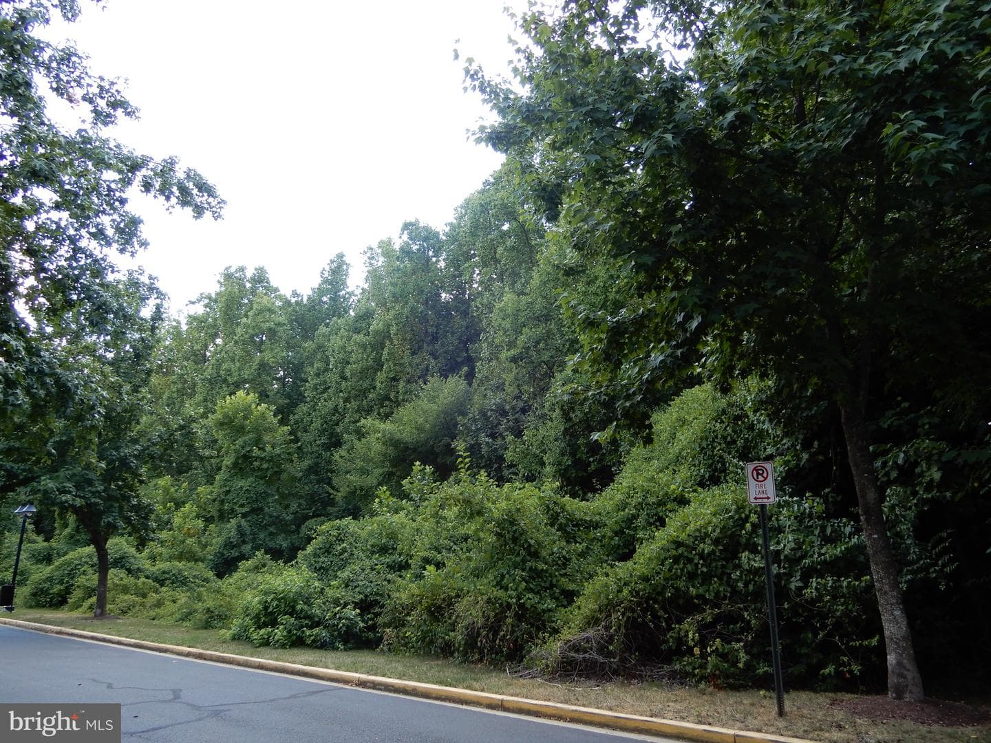 7915 Homefield Drive photo 3