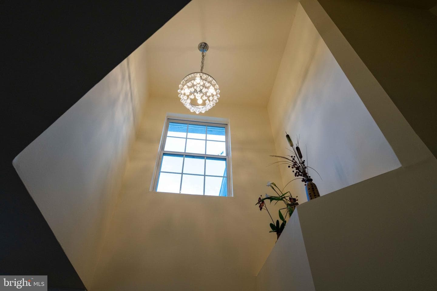 9412 Biemans Terrace photo 36
