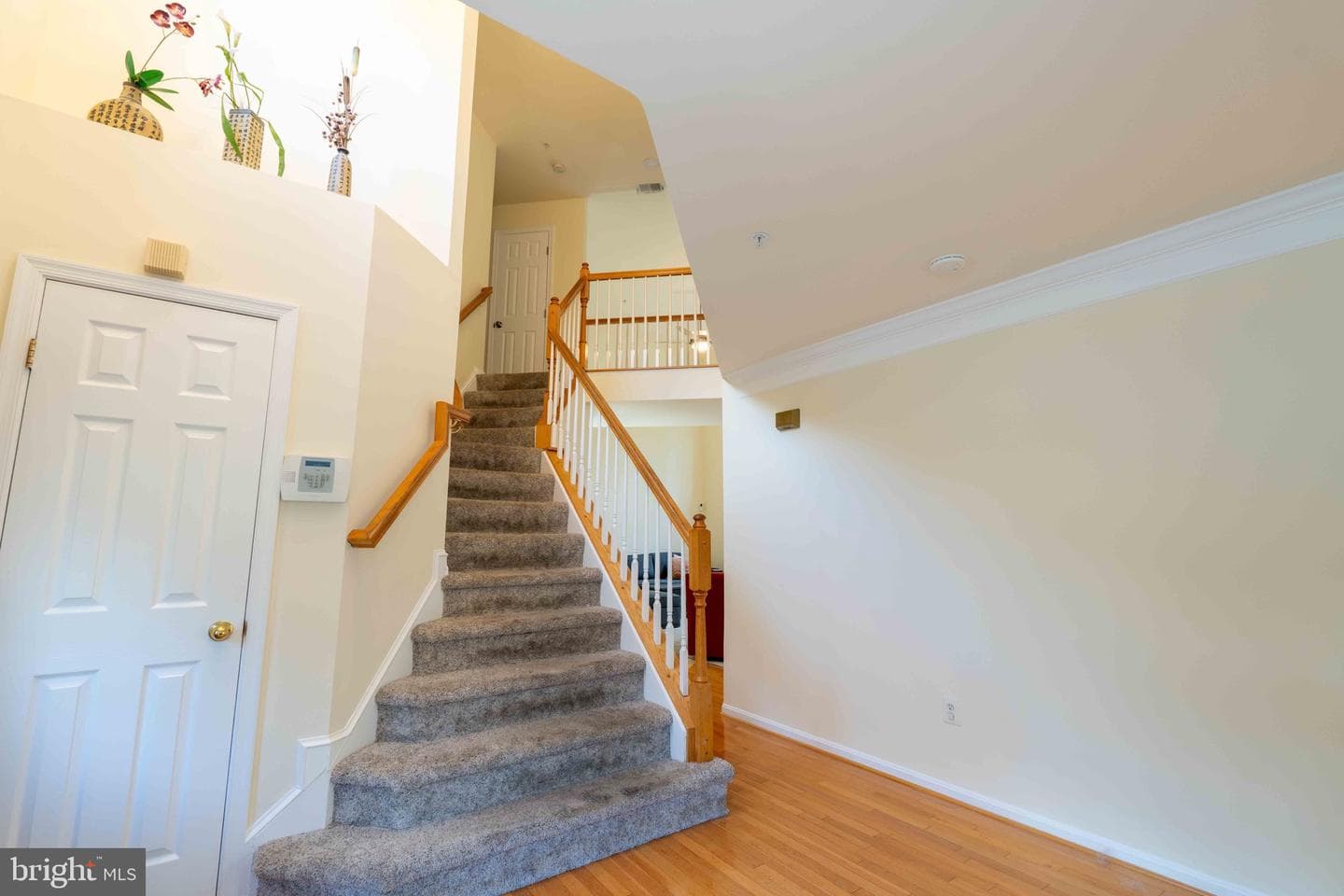 9412 Biemans Terrace photo 37