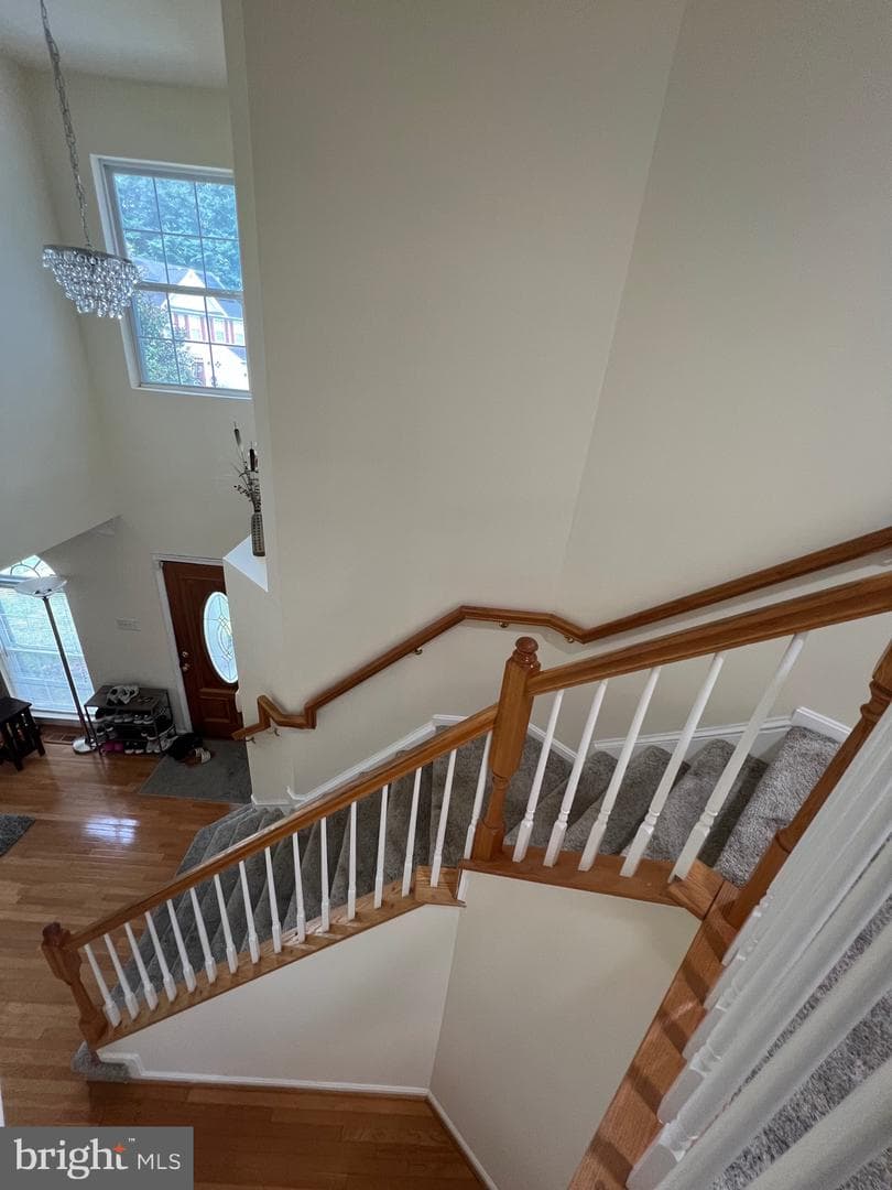 9412 Biemans Terrace photo 39