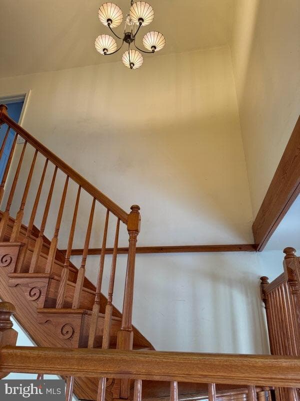6402 8th Avenue photo 19