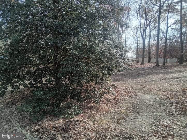 7301 Milligan Lane photo 20