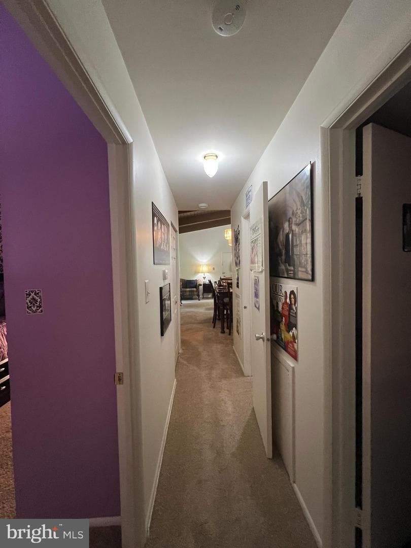 11362 Cherry Hill Road #1t302 photo 34