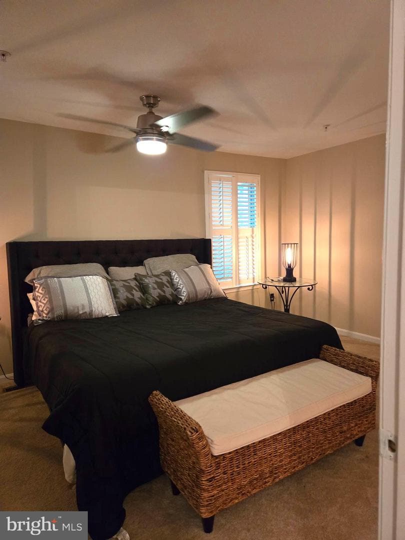 14671 Colonels Choice photo 18