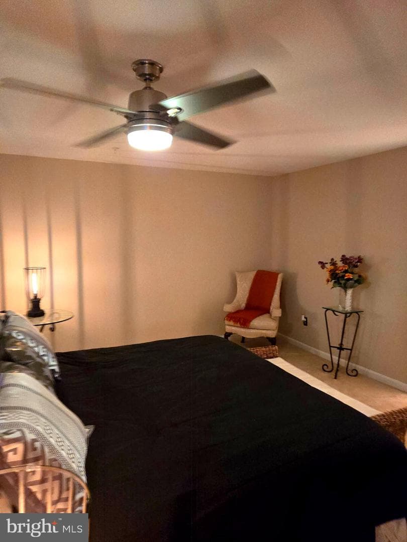 14671 Colonels Choice photo 19