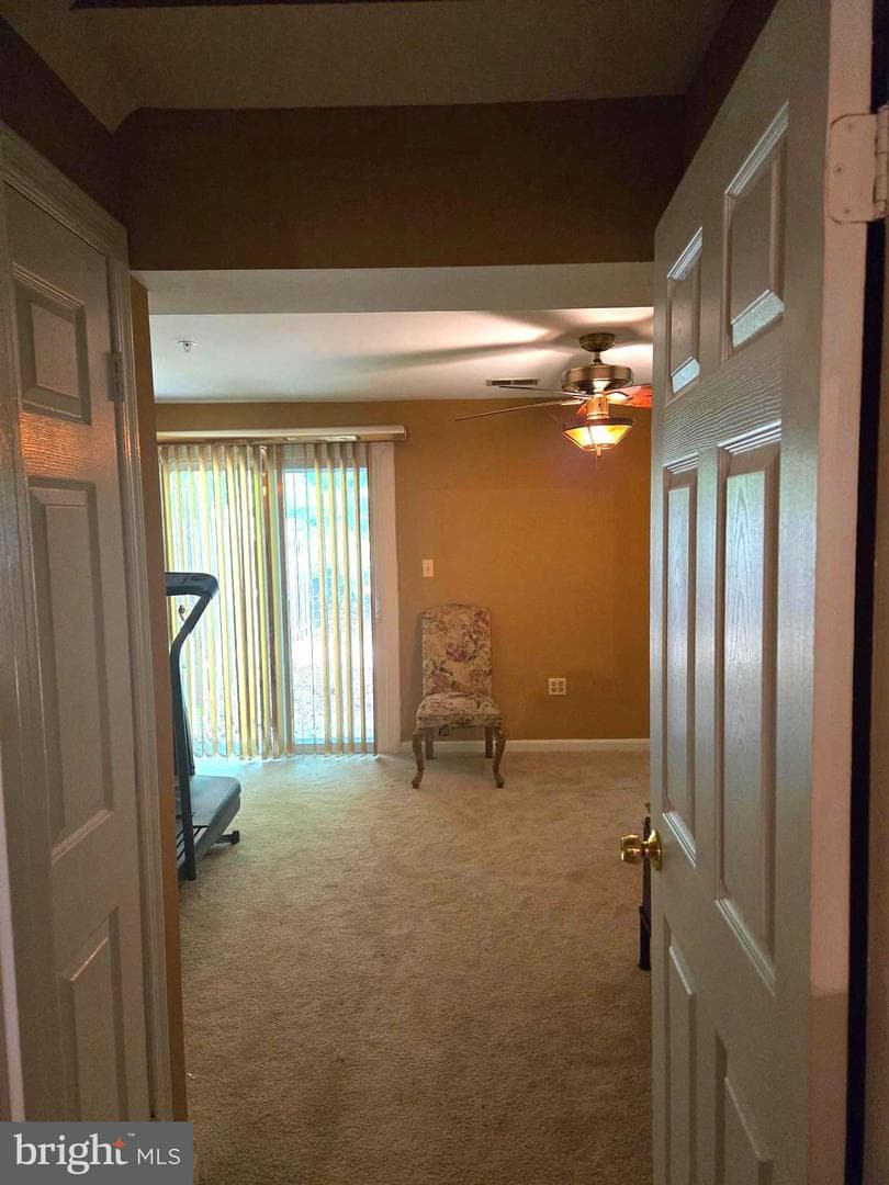 14671 Colonels Choice photo 3