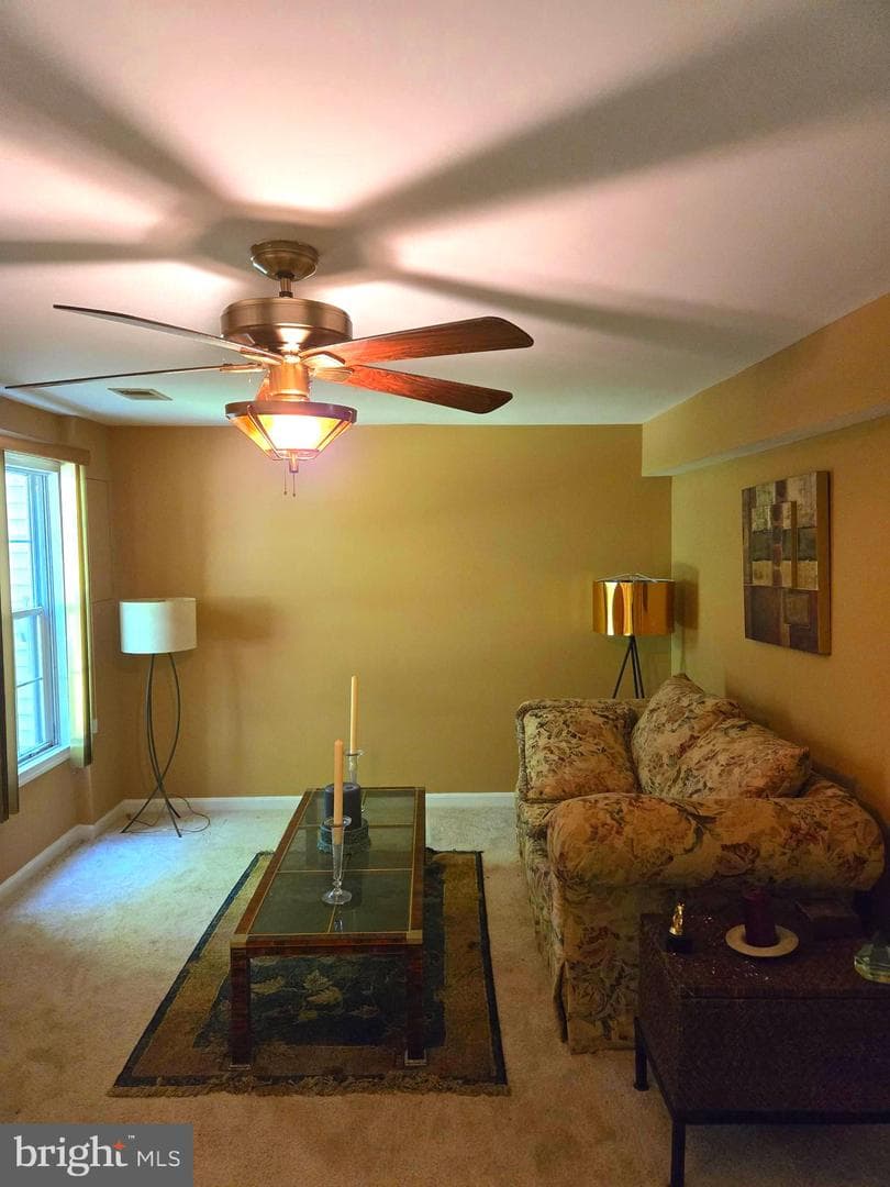 14671 Colonels Choice photo 5