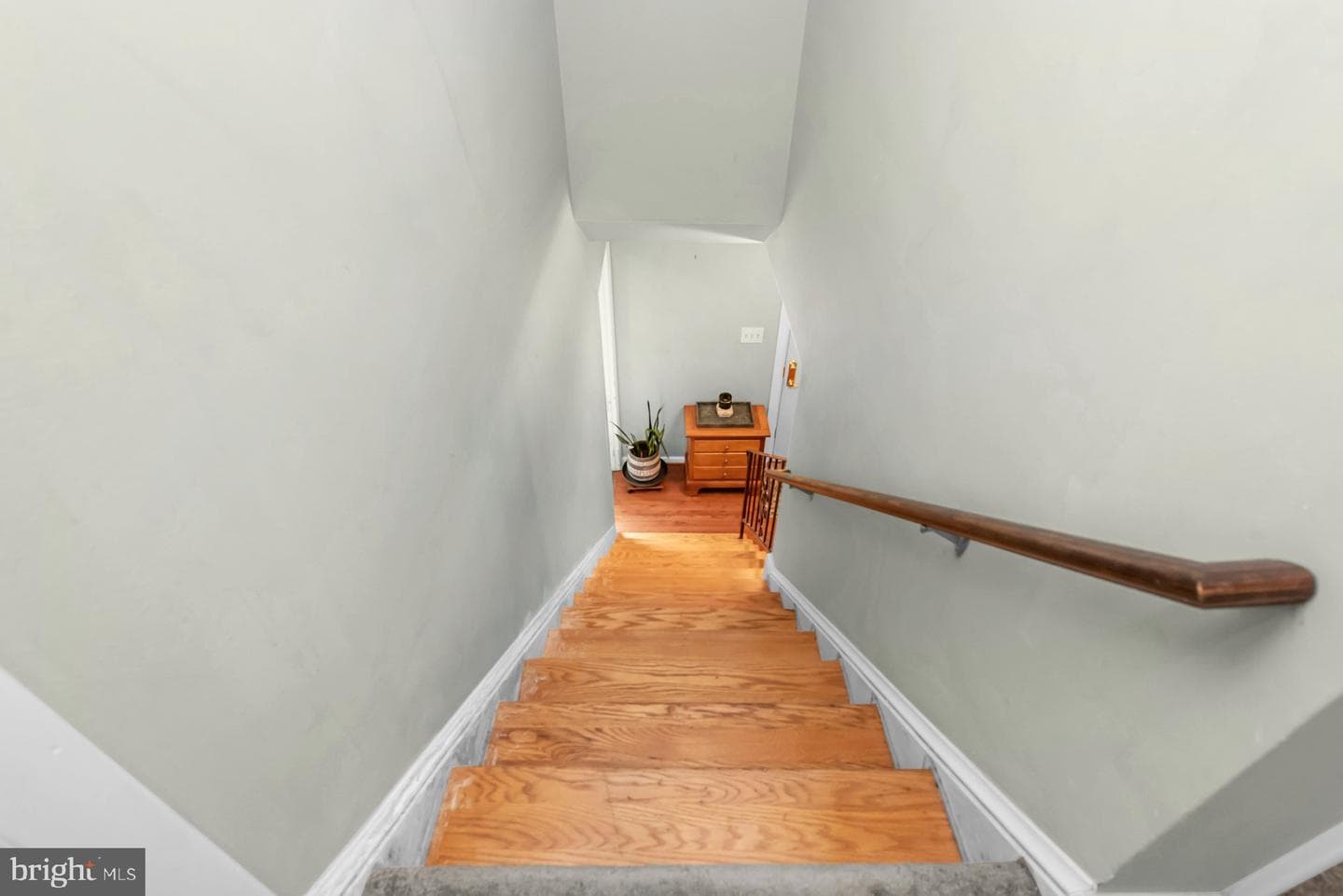 9805 Binyon Court photo 23