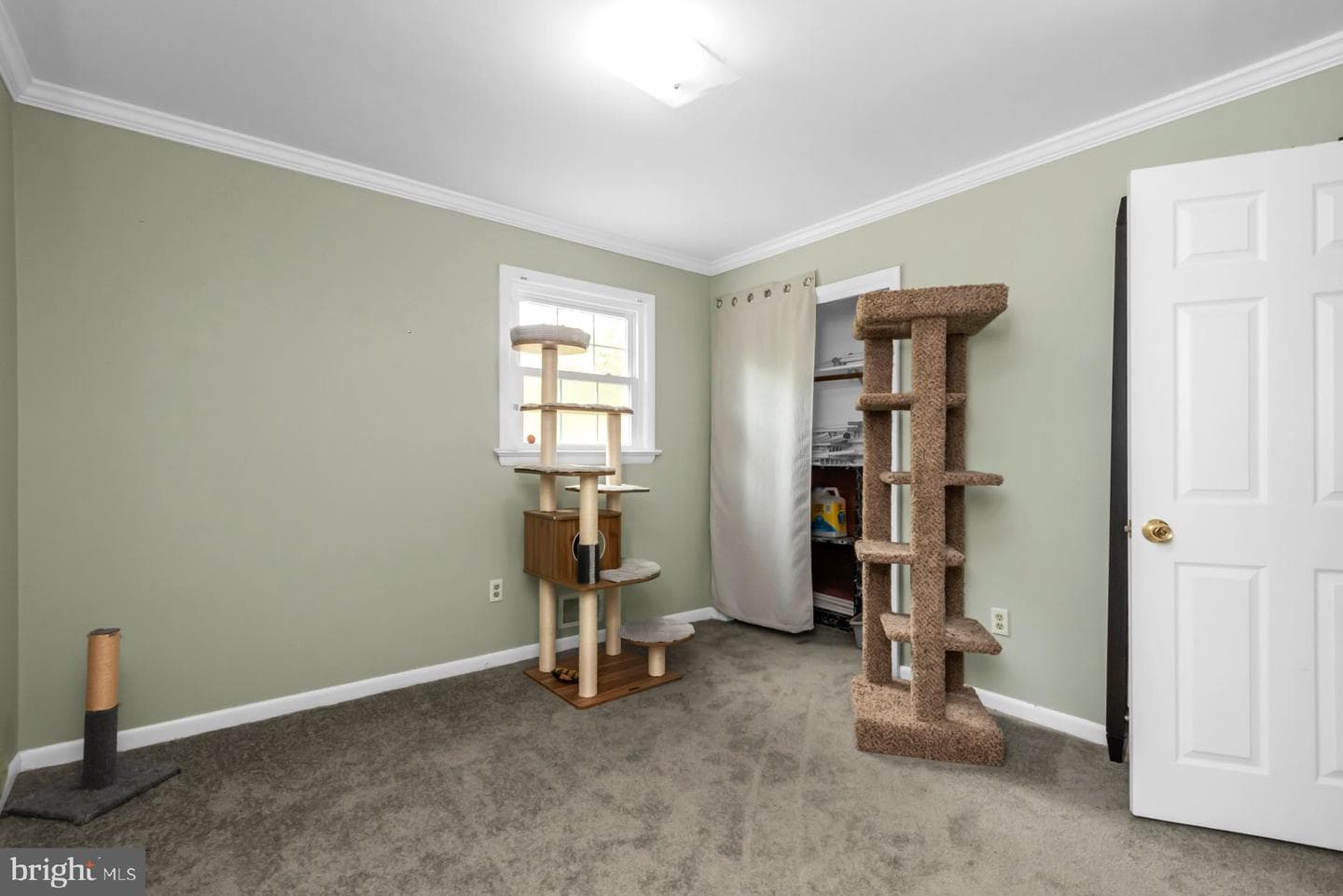 9805 Binyon Court photo 27