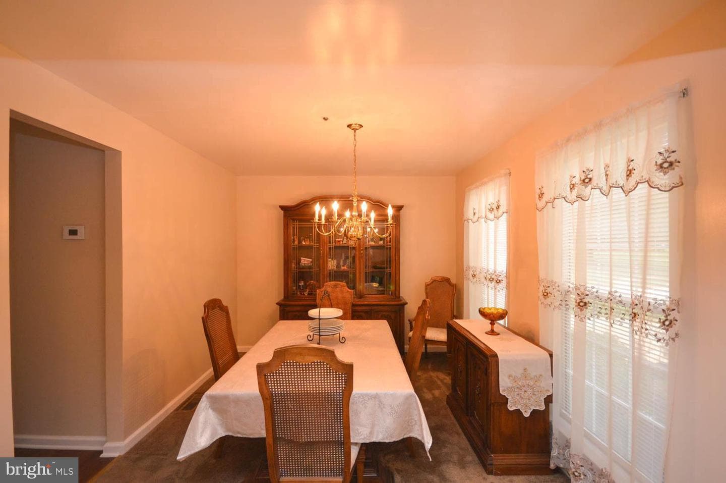 303 Prairie Court photo 8