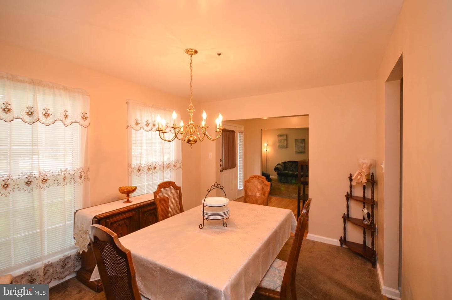 303 Prairie Court photo 9