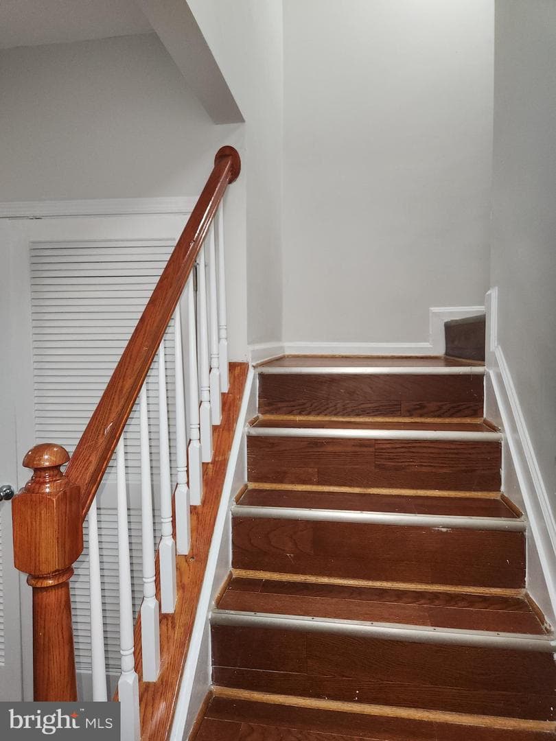 833 English Chestnut Drive photo 10