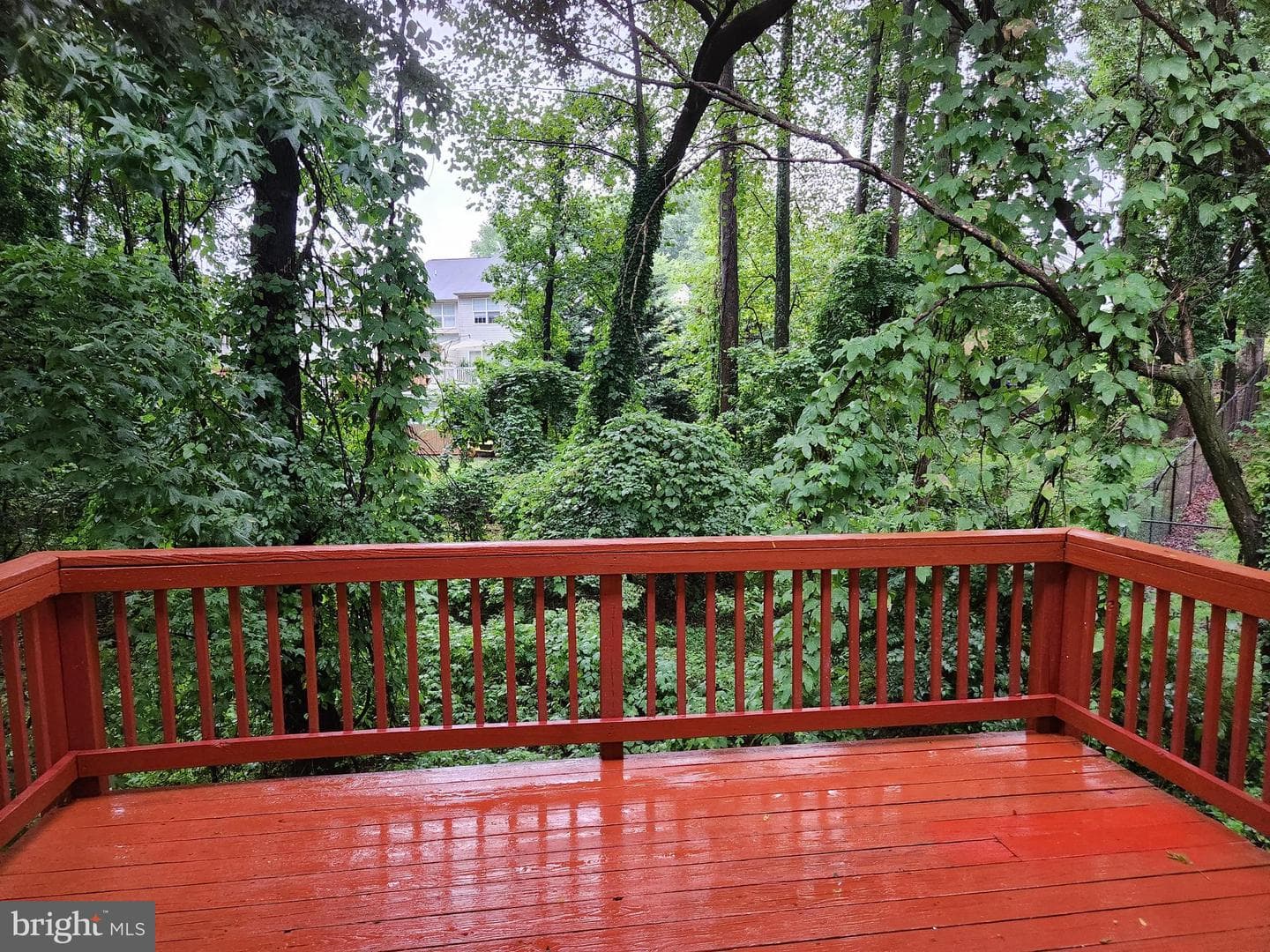 833 English Chestnut Drive photo 17