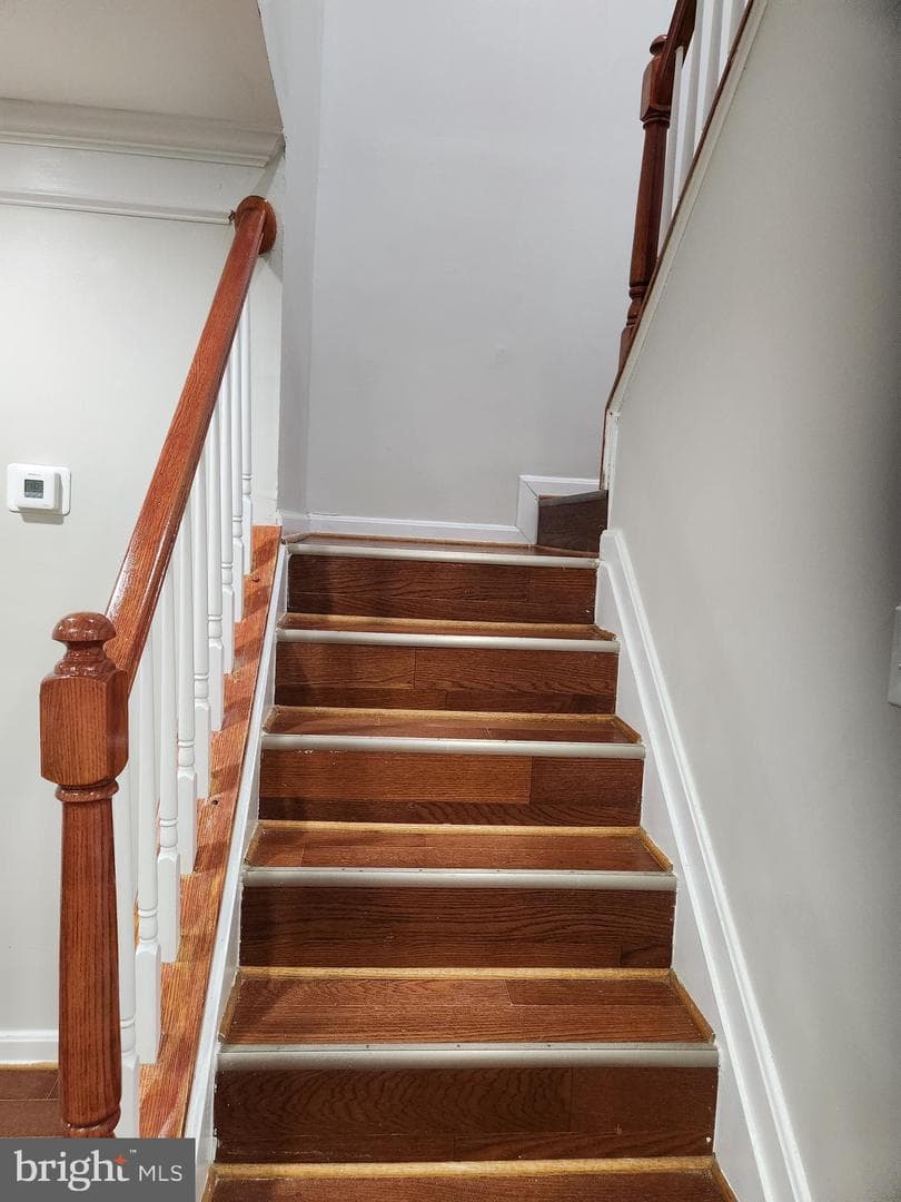 833 English Chestnut Drive photo 18