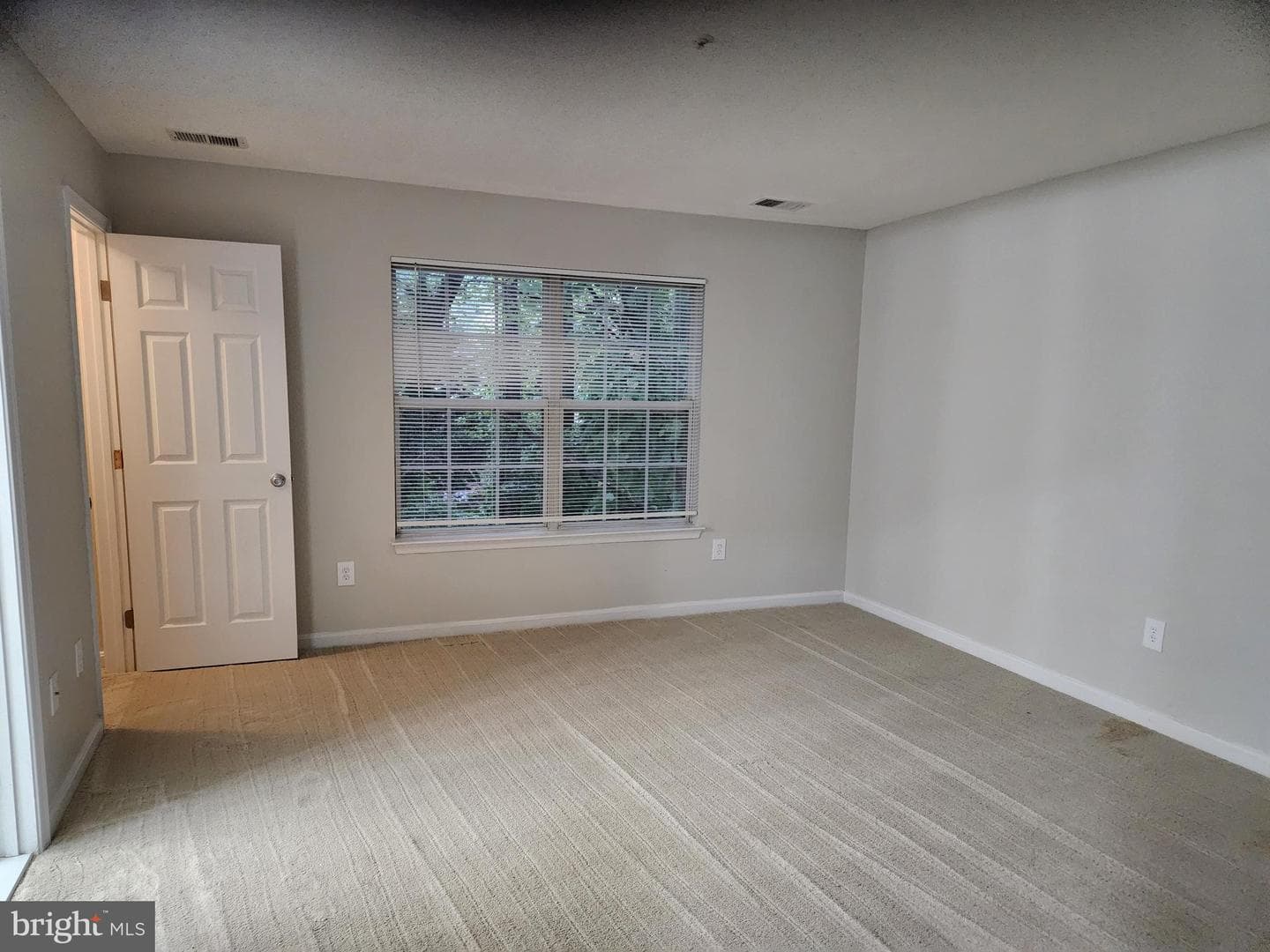 833 English Chestnut Drive photo 19