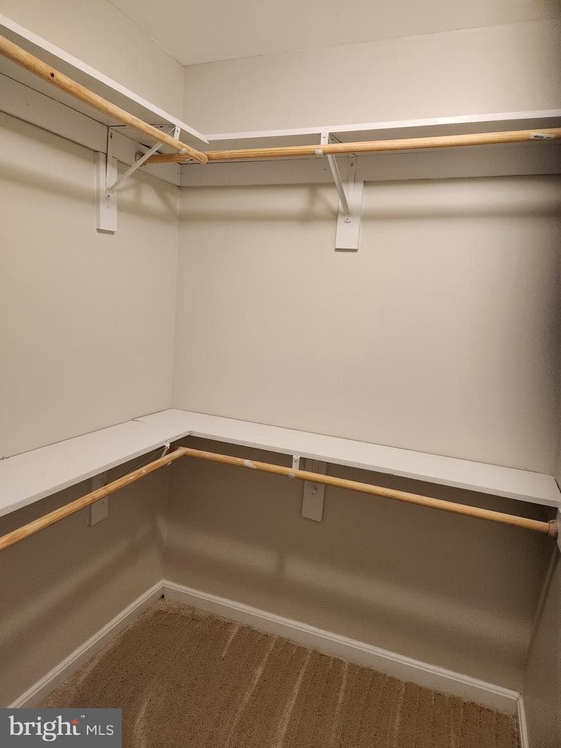833 English Chestnut Drive photo 21