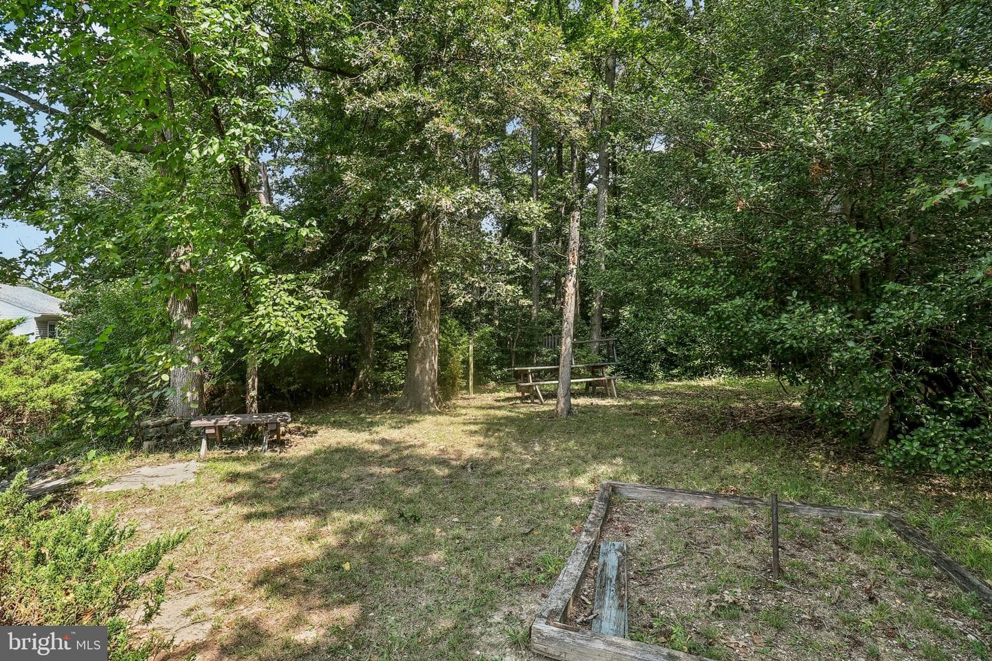 11805 Basswood Drive photo 19