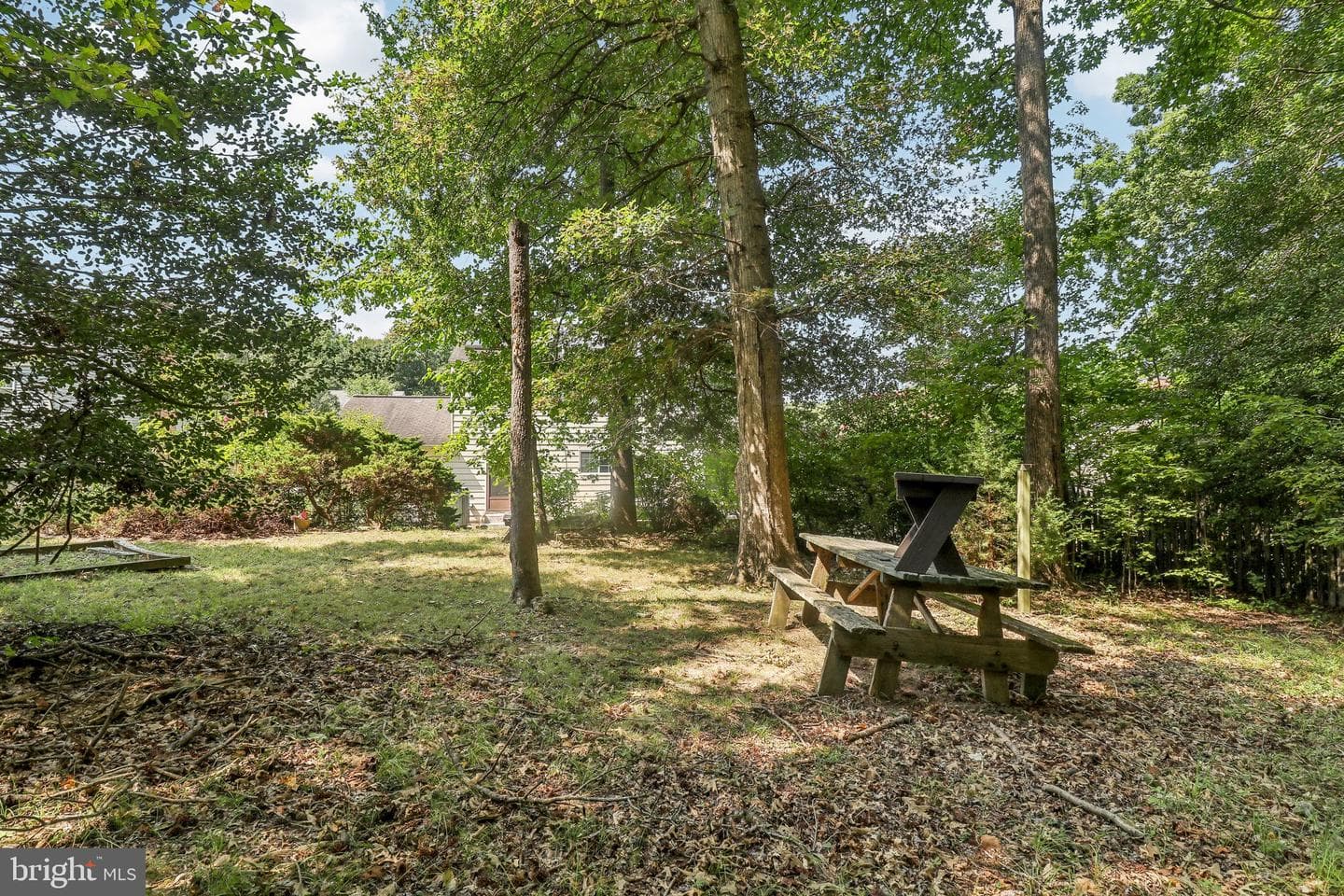 11805 Basswood Drive photo 52