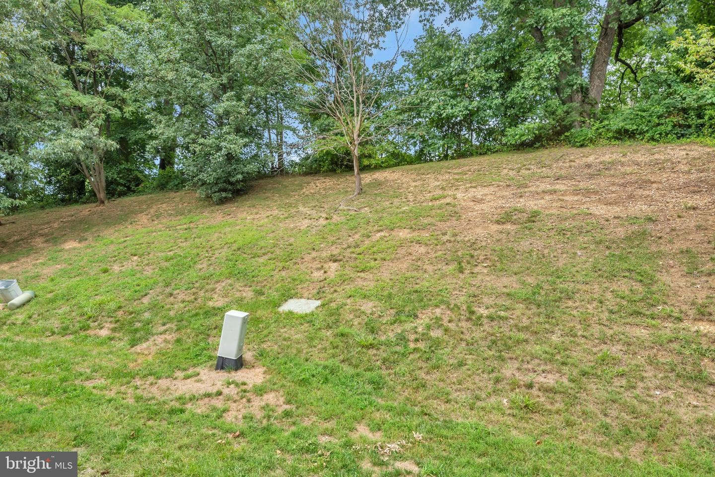 4720 Rolling Dale Way photo 22