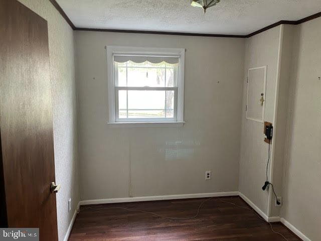 6913 Fulford Street photo 5