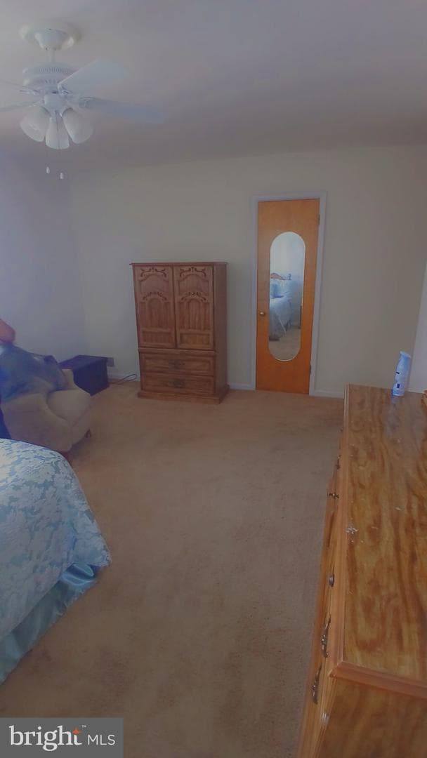 908 Cox Avenue photo 22
