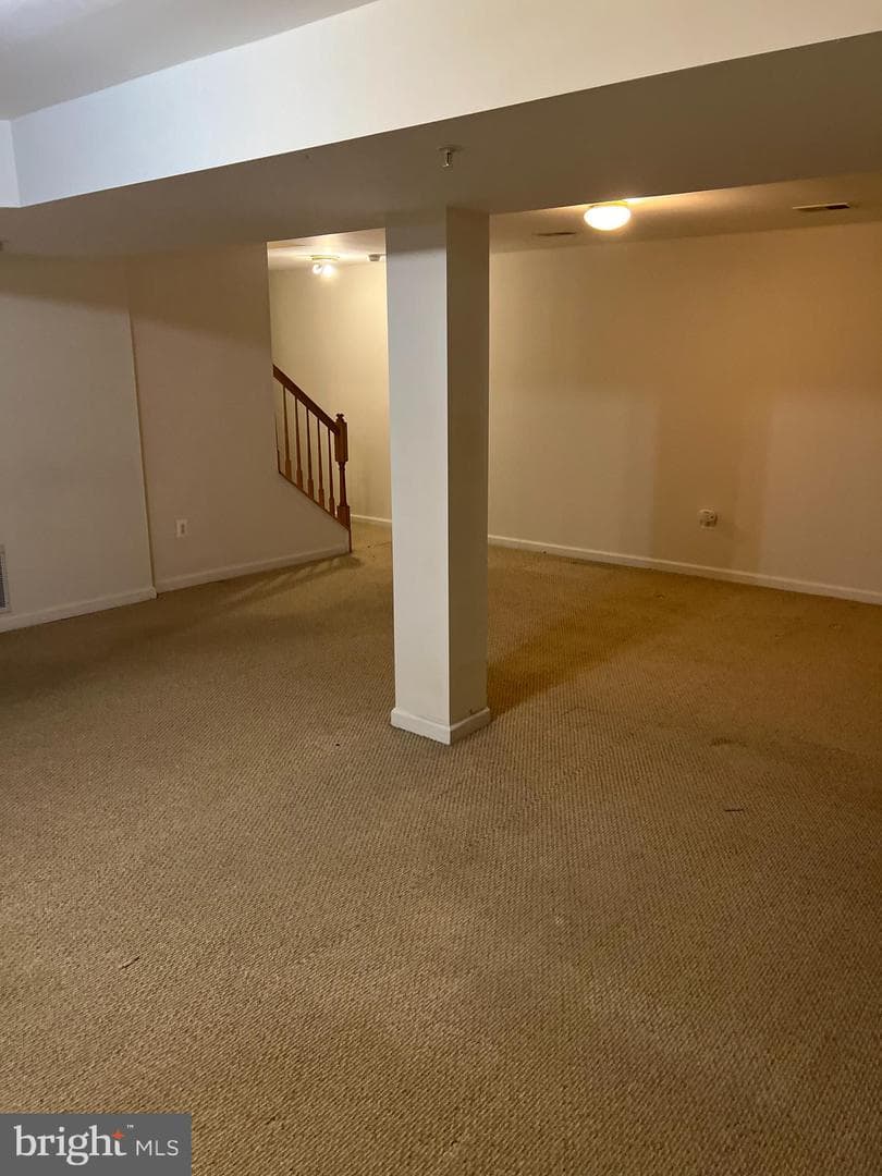 1007 Bohac Lane photo 19