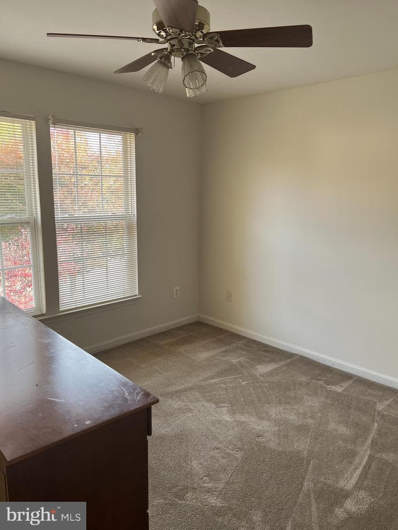 1007 Bohac Lane photo 21