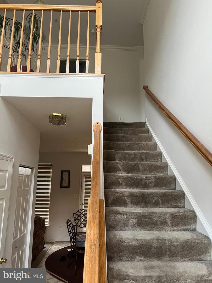 1007 Bohac Lane photo 3