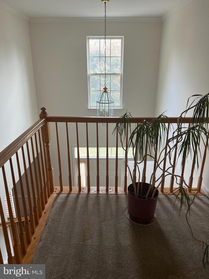 1007 Bohac Lane photo 4