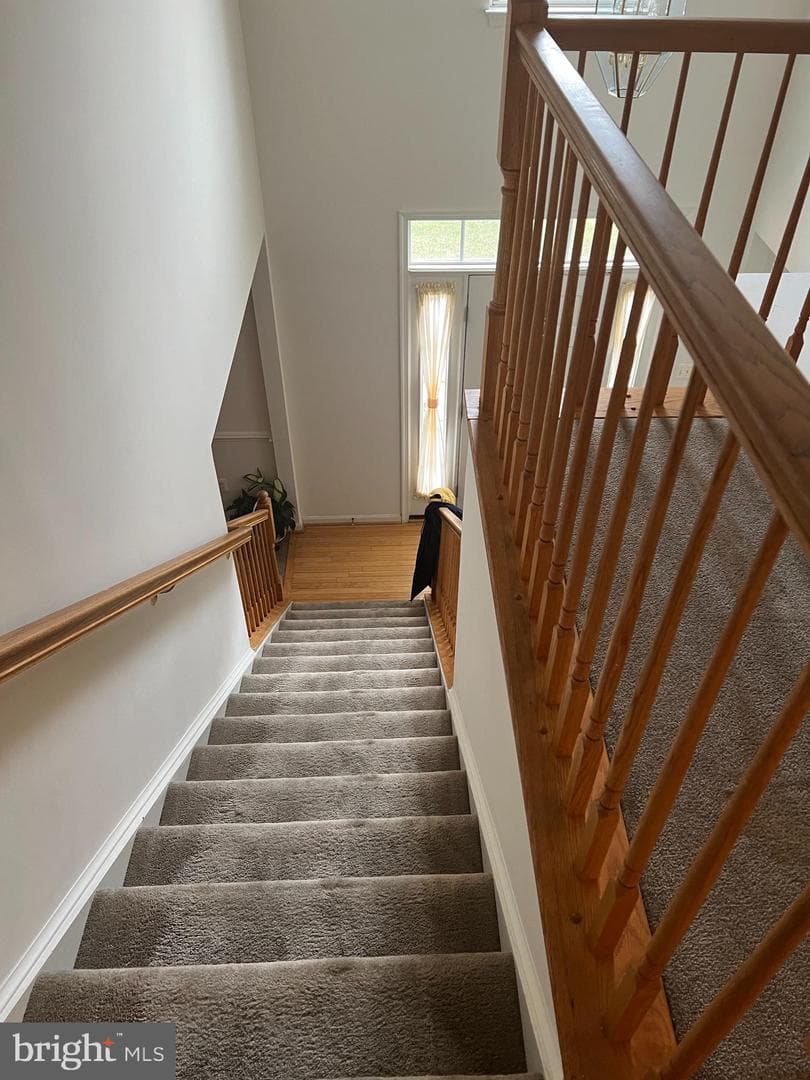 1007 Bohac Lane photo 5