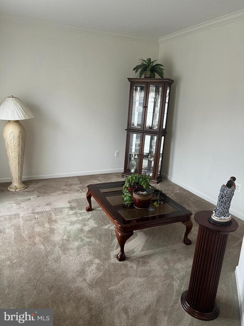 1007 Bohac Lane photo 7
