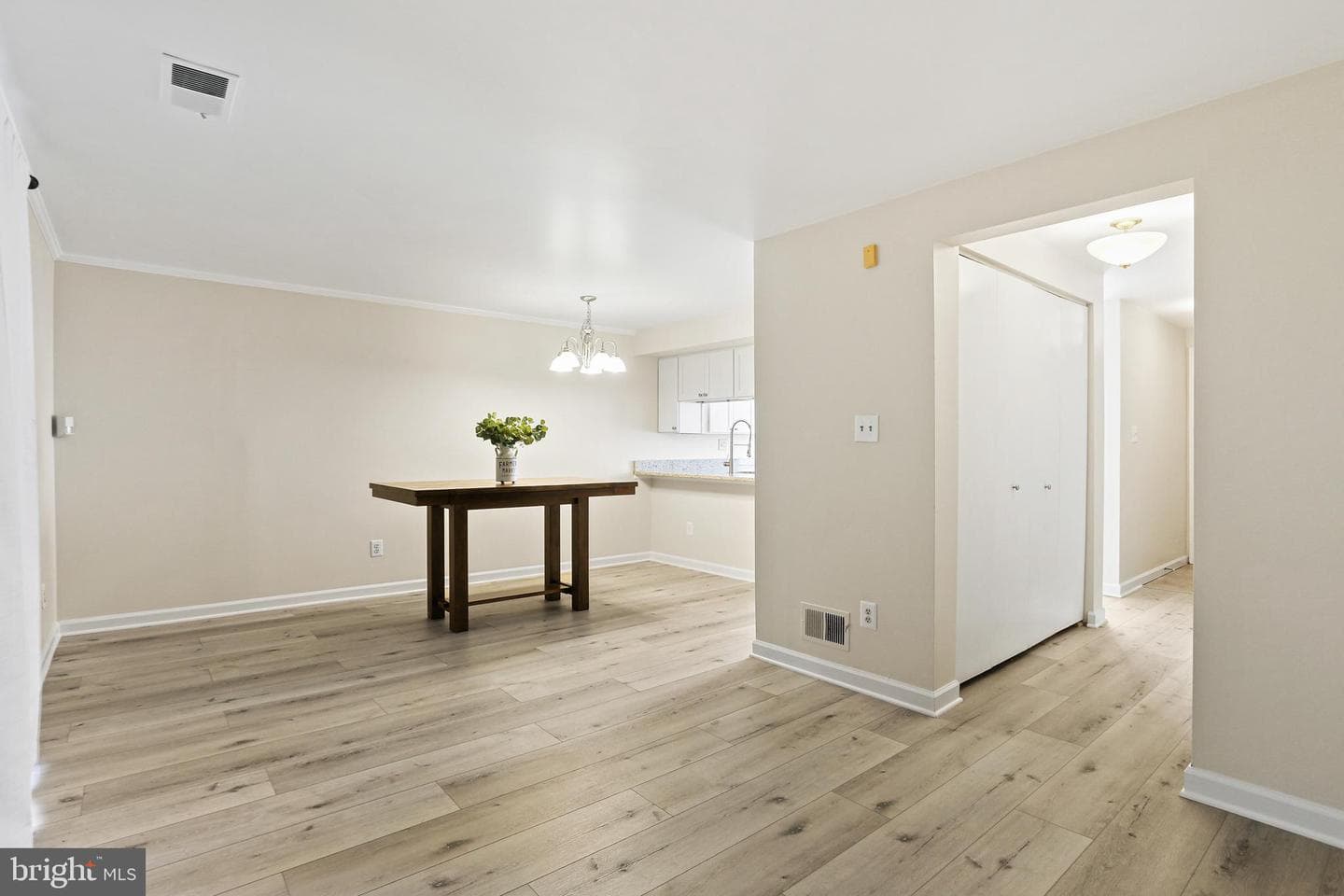 935 Pleasant Hill Lane photo 10