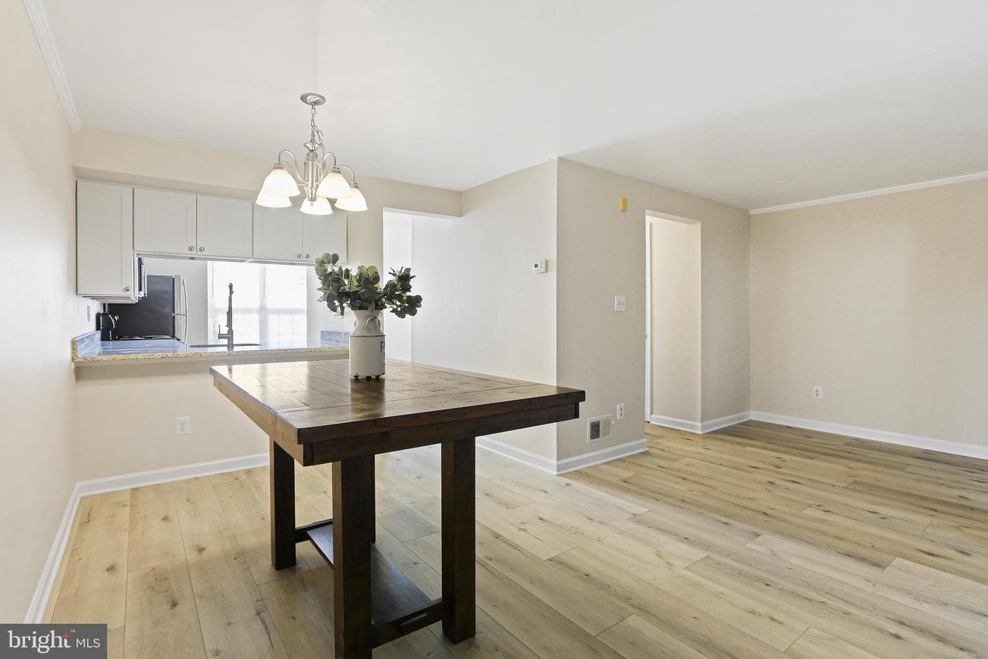 935 Pleasant Hill Lane photo 7