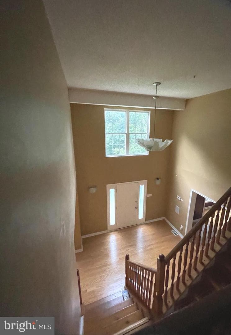 8405 Hardwick Court photo 36