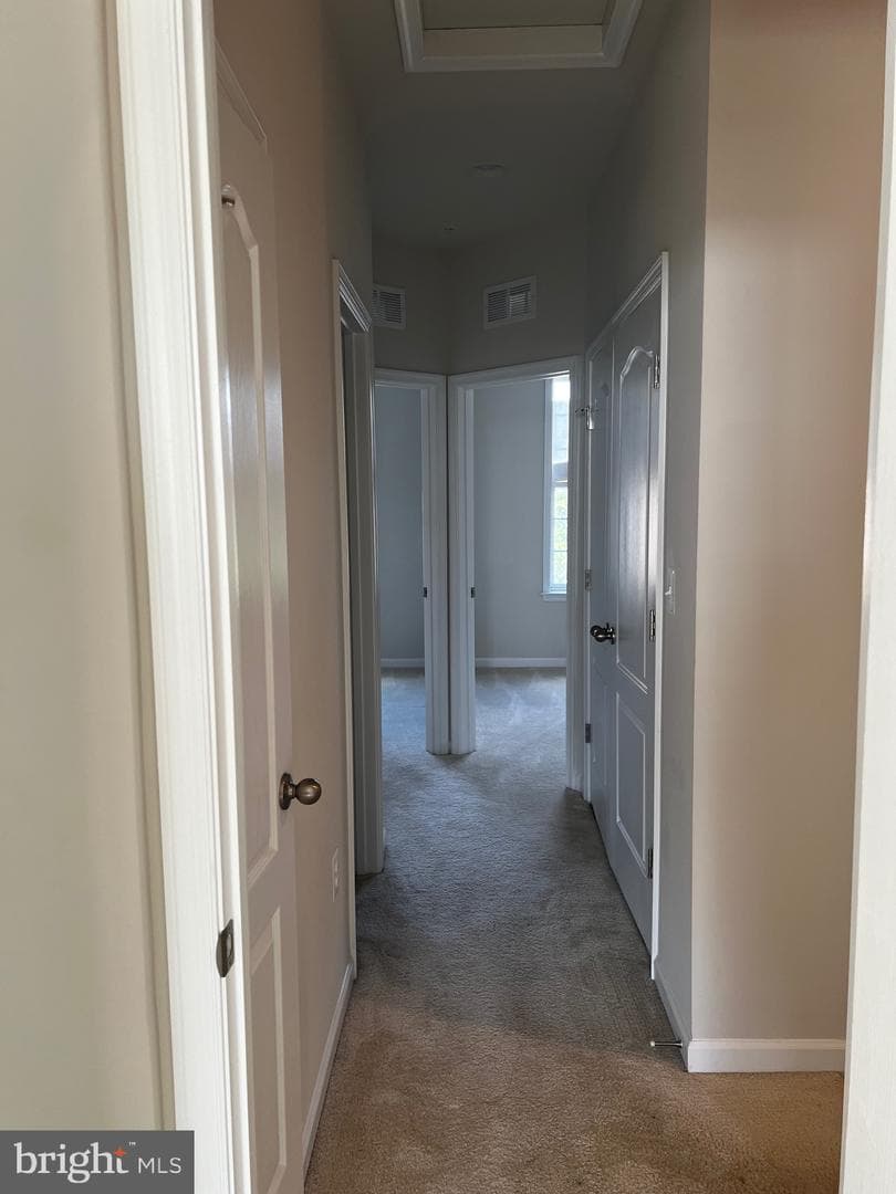 3507 Gentle Breeze Drive photo 17
