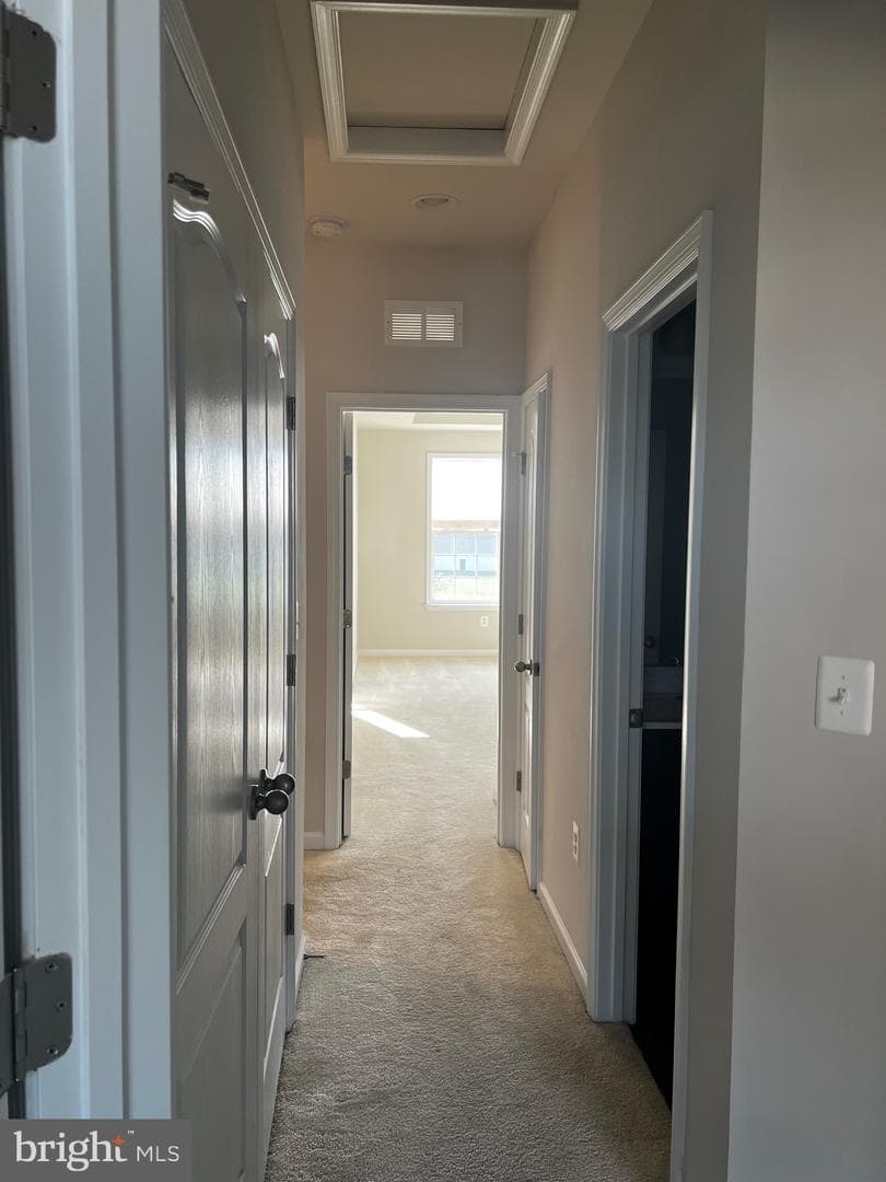 3507 Gentle Breeze Drive photo 18