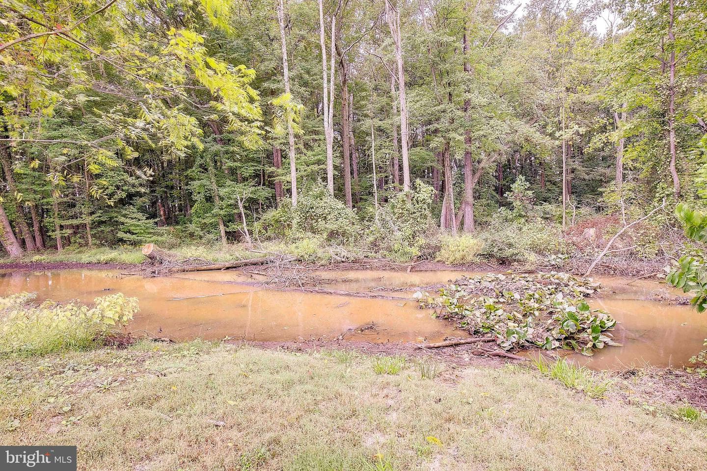 2618 Felter Lane photo 36