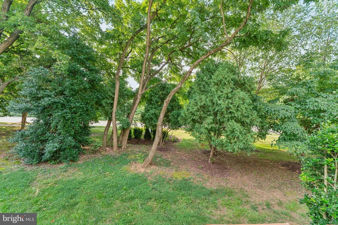 4954 Wealding Way photo 20